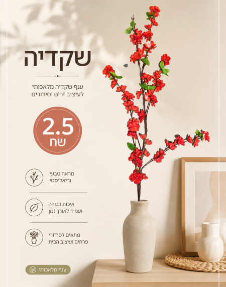 Hebrew ad poster for decorative red flower stems in a beige vase, shows price 2.5 ש״ח and feature icons on the left side.